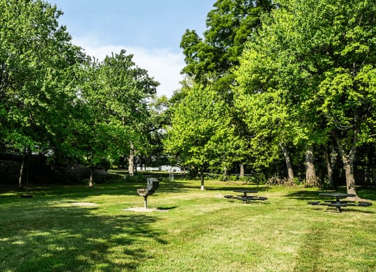 a grassy area with trees and a picnic table