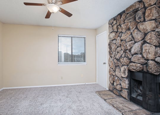 Wood-burning Fireplace in apartment