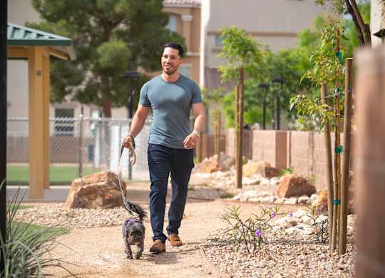 A man walking his dog in a park. at Habitat @ DTLV, Las Vegas, NV