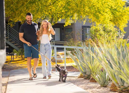 A man and woman walking a dog on a leash. at The 95 Apartments, Las Vegas, 89129