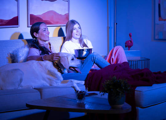 Two people sitting on a couch with a dog and watching TV.