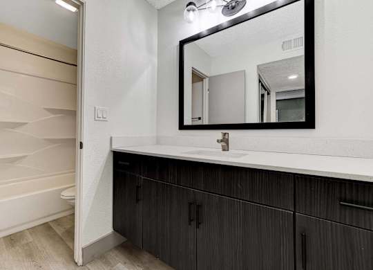 A bathroom with a white sink and a mirror.