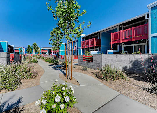 A tree with white flowers in the foreground and a building with red railings in the background.