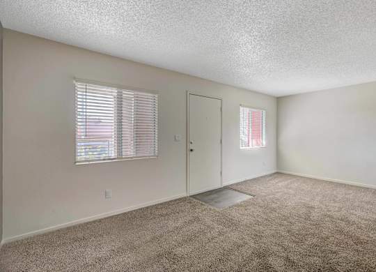 A room with a carpeted floor, a door, and a window with blinds.