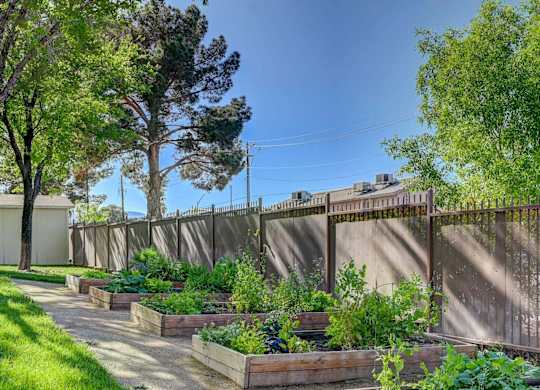 A garden with a fence and trees.