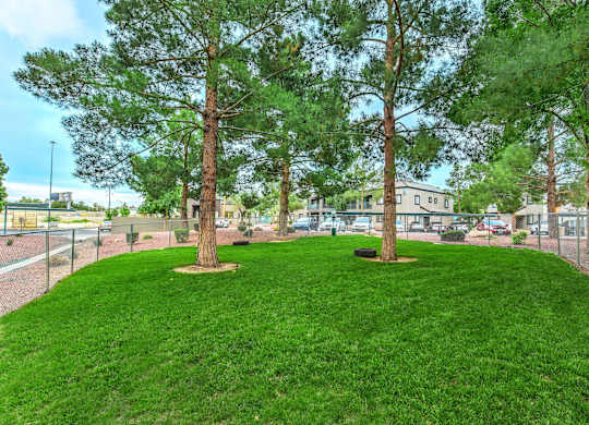 Green Landscape at The 95 Apartments, Las Vegas, 89129
