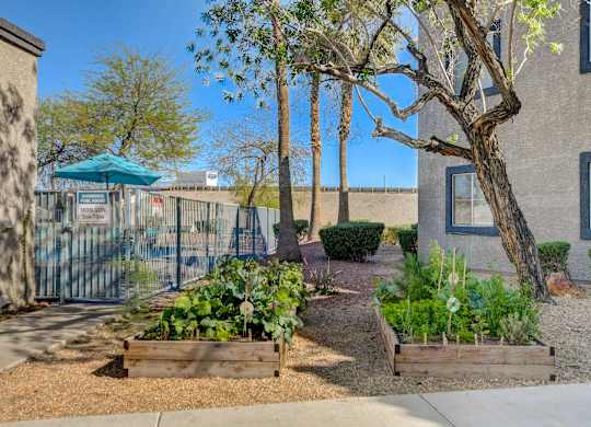 Courtyard Garden Area at The 95 Apartments, Las Vegas, NV