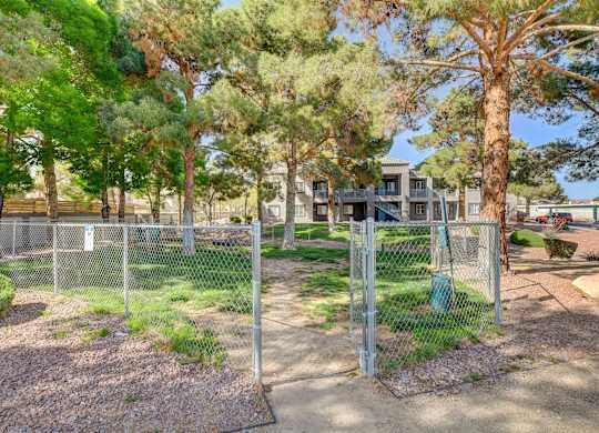 Dog Park at The 95 Apartments, Las Vegas, NV
