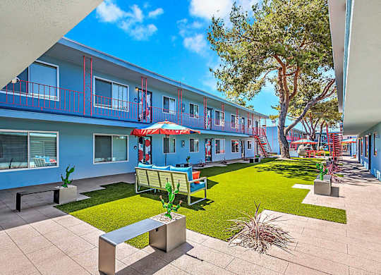 A sunny day at the courtyard of a blue building with a green lawn and a tree.