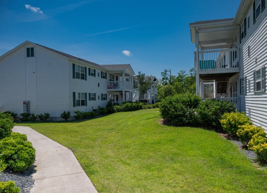 Lush landscaping at Deerbrook Apartment Homes in Wilmington, NC 28405
