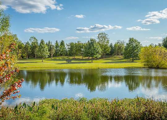 A serene landscape with a lake, trees, and a clear sky.