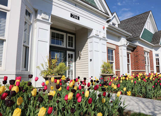 Elegant Exterior View Of Property at Bristol Station, Naperville, Illinois