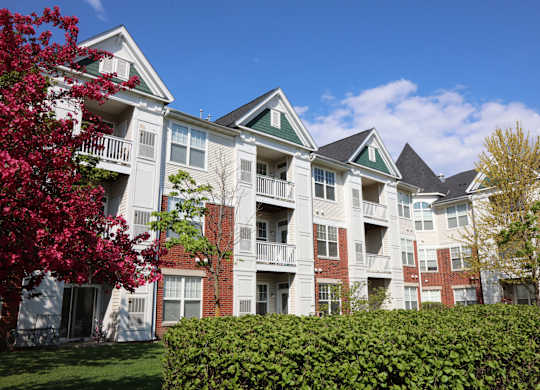 Well Designed Apartments at Bristol Station, Naperville, 60563