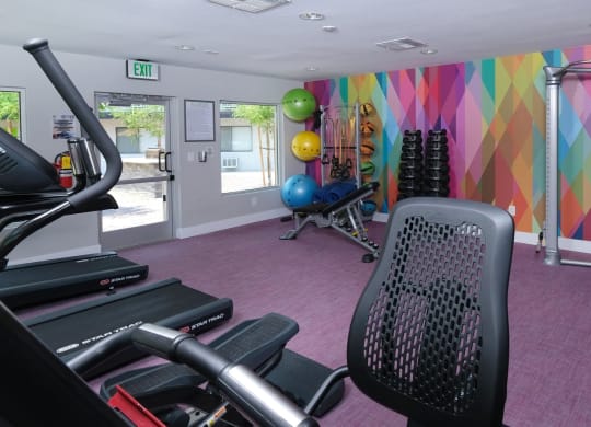 Cardio machines, cable machines, and body weight equipment in Fusion Las Vegas gym with pink flooring and colorful geometric wall.