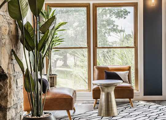 A living room with a large window and a plant in a pot.
