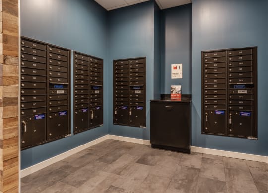 Private package room with black mailboxes on a blue wall, on hardwood-style flooring.