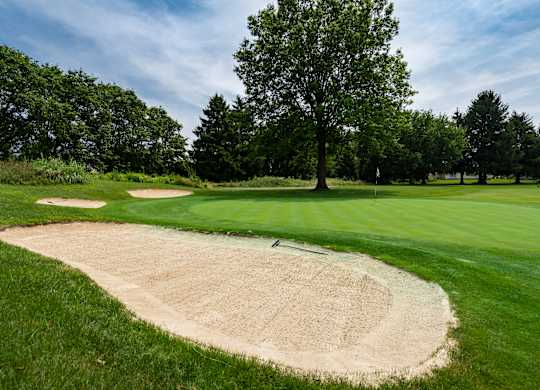 A sand trap on a golf course with a tree in the background.