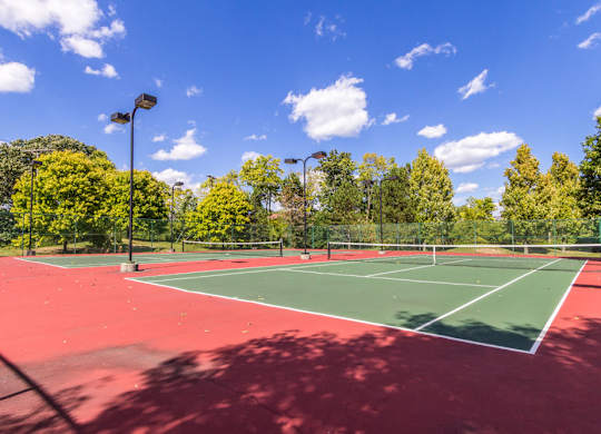 Pet-friendly amenities at Britton Woods Apartments including a community tennis court