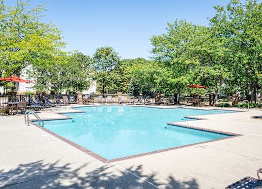 Swimming pool surrounded by trees and lounge chairs at Britton Woods