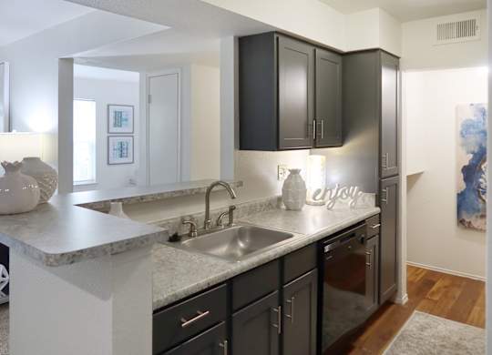 Contemporary kitchen with black cabinetry, granite countertops, and stainless sink