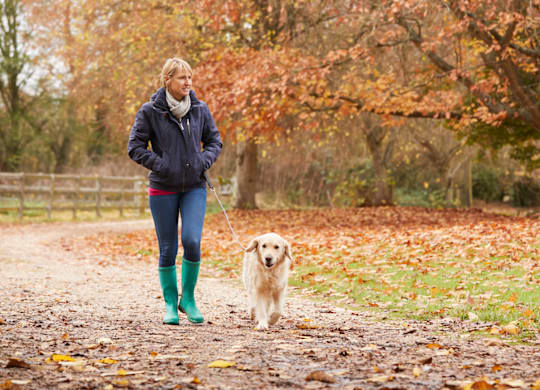 A woman walking her dog in a leaf-covered park.