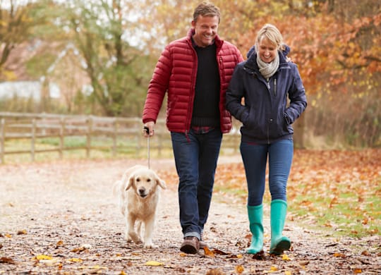 A man and woman walking a dog on a path.