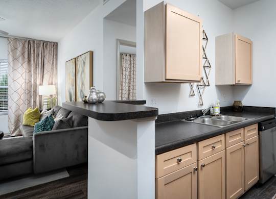 Open-concept living room and kitchen with modern cabinetry and a convenient countertop at The Coleman