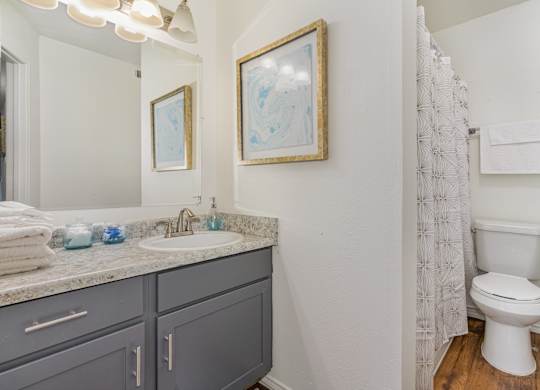 A bathroom with a white toilet and a grey counter.