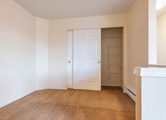 A room with a white door and a brown carpet.