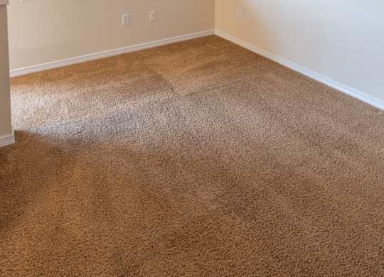 A room with brown carpet and white walls.