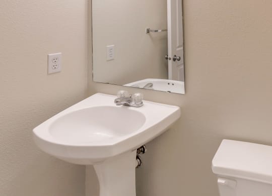 a bathroom with a sink and a mirror and a toilet