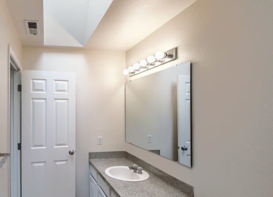 a bathroom with a sink and a mirror and a toilet