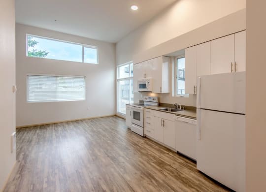 the preserve at ballantyne commons apartment living room and kitchen