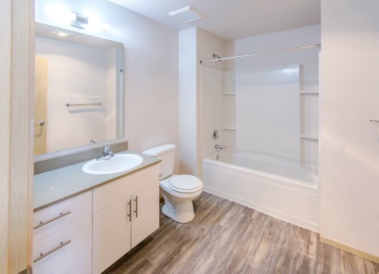 a bathroom with a sink toilet and a shower