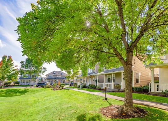 a tree in the middle of a lawn in front of houses