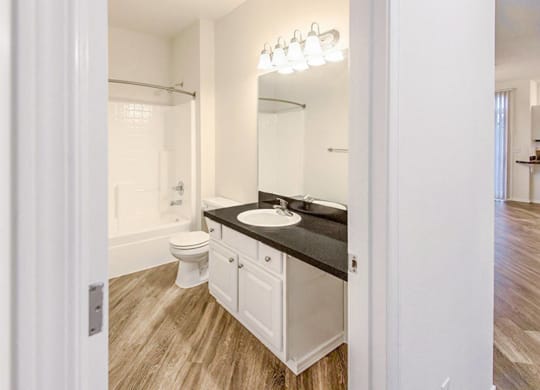 a bathroom with a sink and a toilet