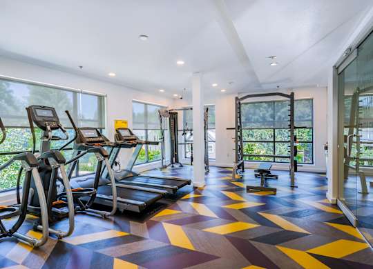 treadmills in fitness center