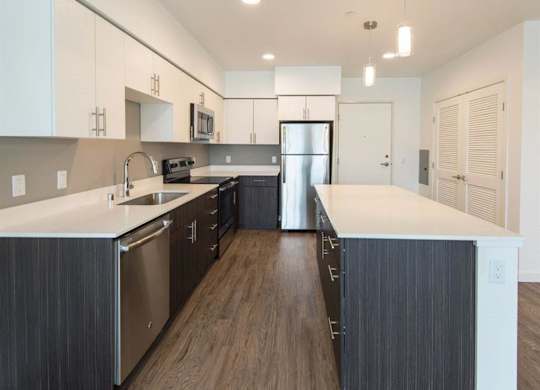 dark finishes in kitchen of unit