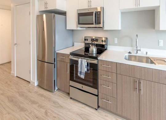 stainless steel finishes and light wood finsihes