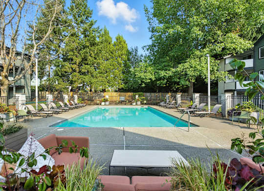 A pool surrounded by trees and chairs.