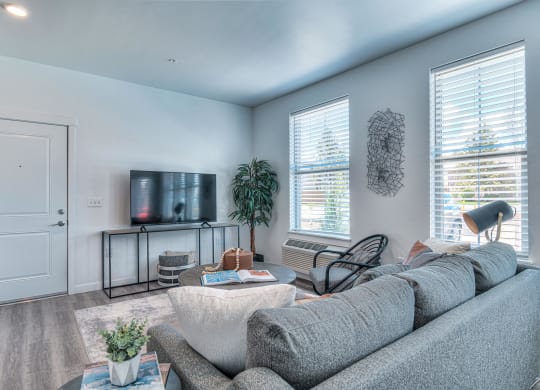 a living room with a gray couch and a tv