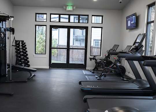 A gym with treadmills, weights, and exercise equipment.