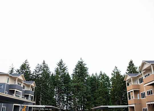 A row of houses with trees in the background.