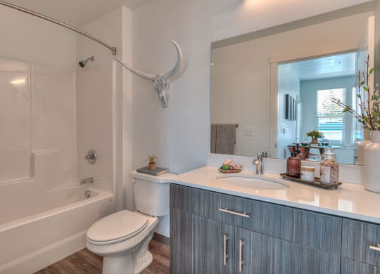 a bathroom with a sink toilet and a shower