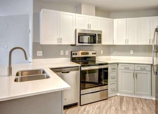 Kitchen with Stainless Steel Appliances, Double Sinks, White Cabinets, and Wood-Style Flooring at Clock Tower Village, DuPont Washington