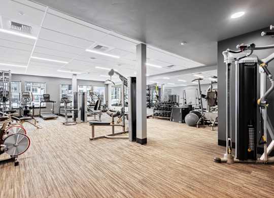 the gym is equipped with a variety of exercise equipment