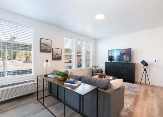 a living room with a couch and a television