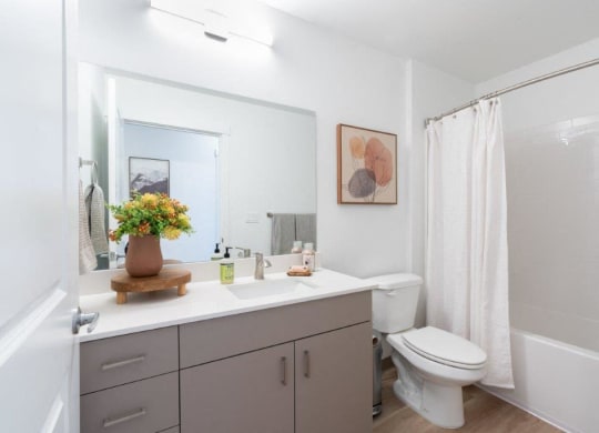 a bathroom with a toilet and a sink and a mirror