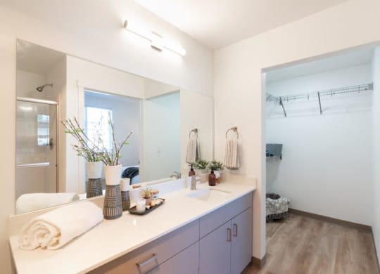 a bathroom with a sink and a large mirror