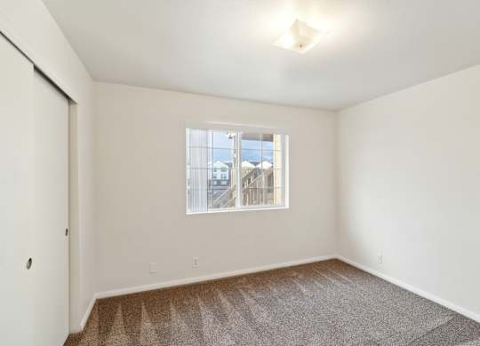 A room with a window and a carpeted floor.